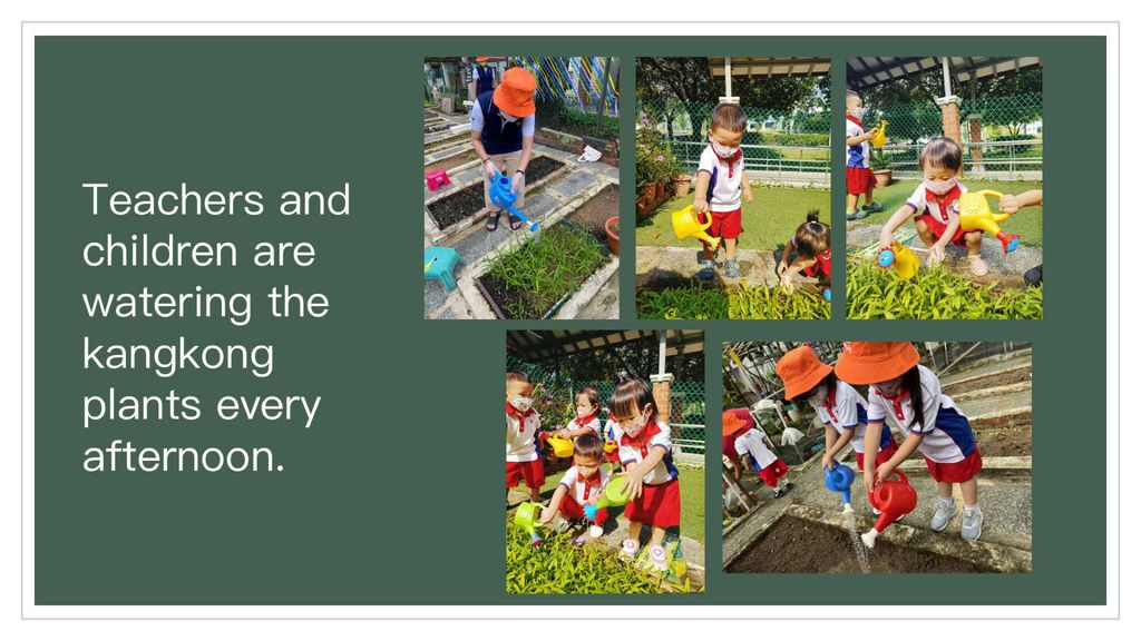 Sharing our harvest to your home in collaboration with Sparkle Care — photo 13