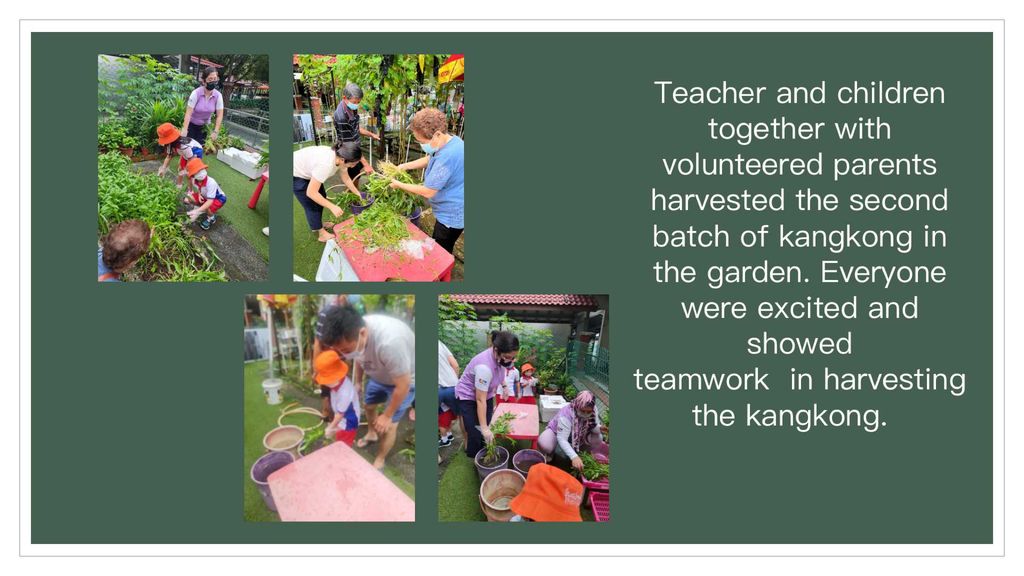 Sharing our harvest to your home in collaboration with Sparkle Care — photo 14