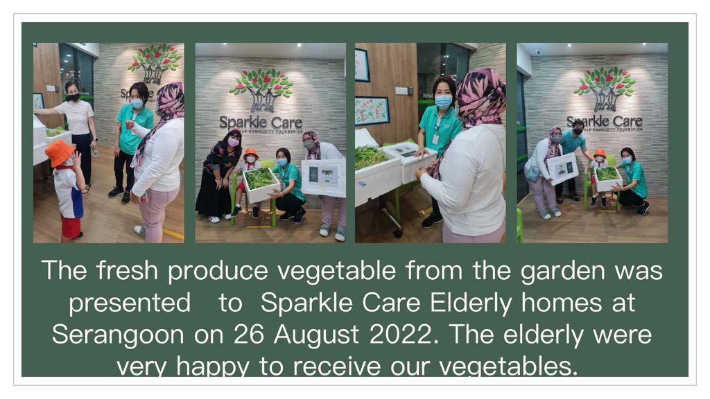 Sharing our harvest to your home in collaboration with Sparkle Care — photo 15