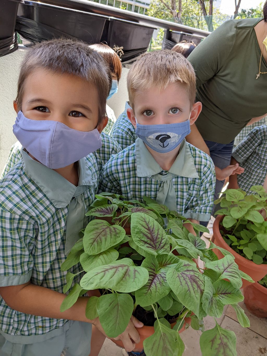 PMK 2022 SSDB Learning Journey #6 - Slow and Steady...Getting Ready for our Farmers Market Charity Sale — photo 2