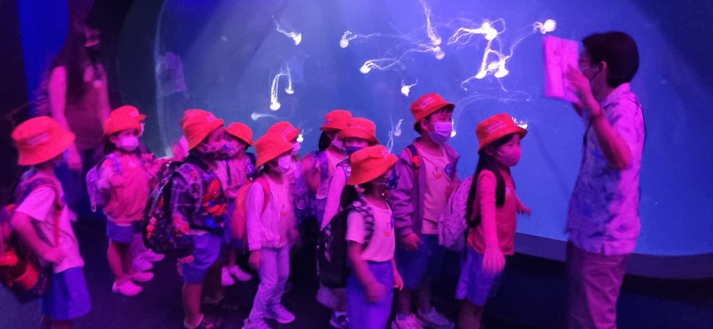 Visiting our SEA Aquarium on The S.E.A.A Quest — photo 1