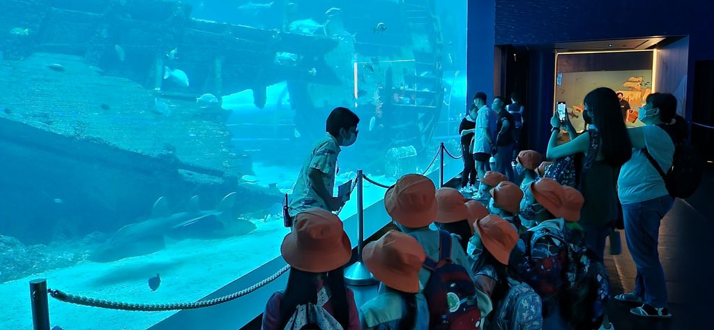 Visiting our SEA Aquarium on The S.E.A.A Quest — photo 2