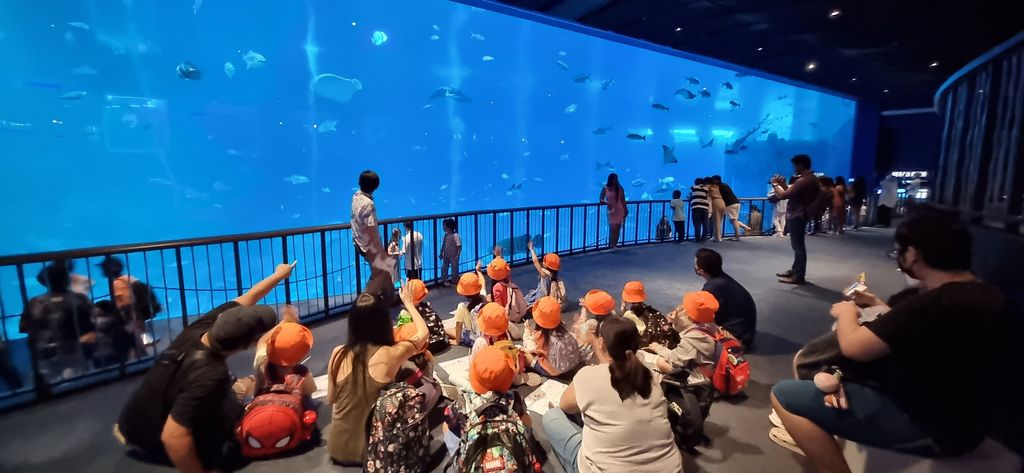 Visiting our SEA Aquarium on The S.E.A.A Quest — photo 1