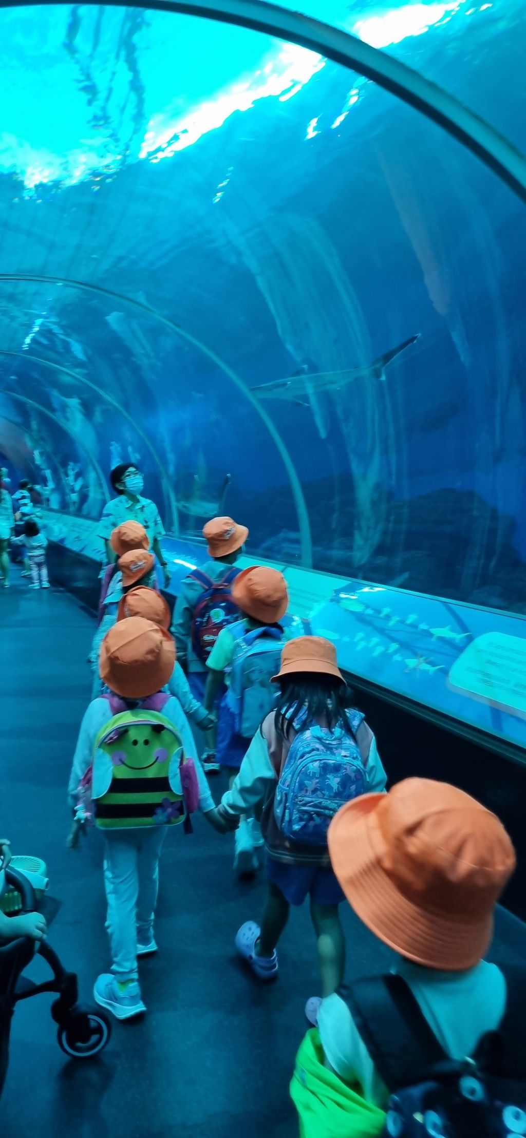 Visiting our SEA Aquarium on The S.E.A.A Quest — photo 1
