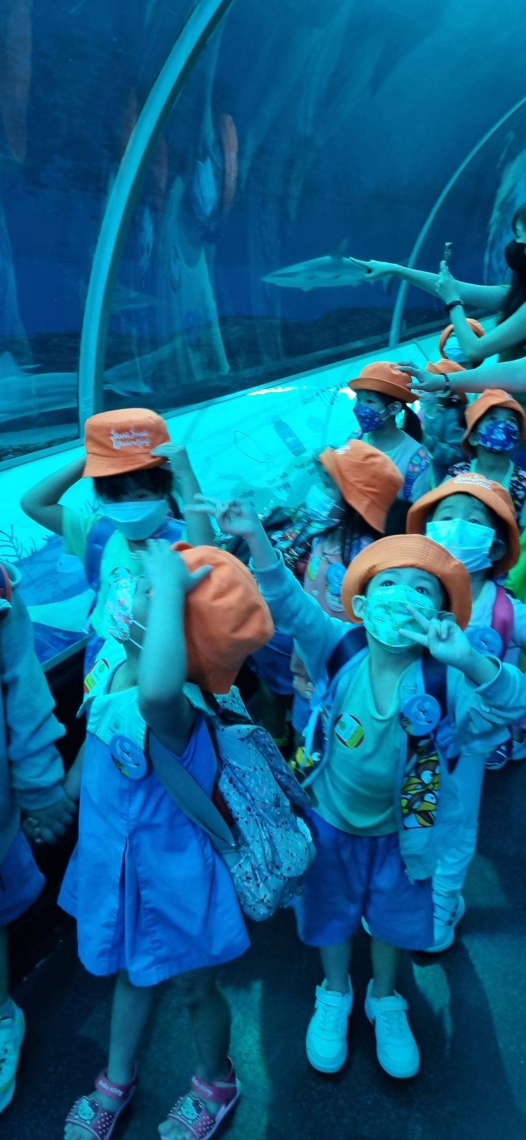 Visiting our SEA Aquarium on The S.E.A.A Quest — photo 2