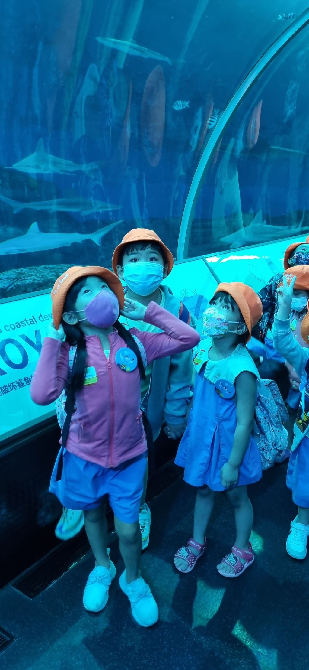 Visiting our SEA Aquarium on The S.E.A.A Quest — photo 3