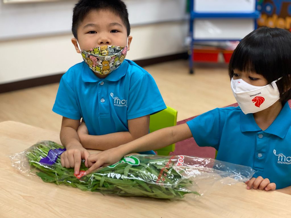 Choosing SG Locally Grown Local Fresh Produce