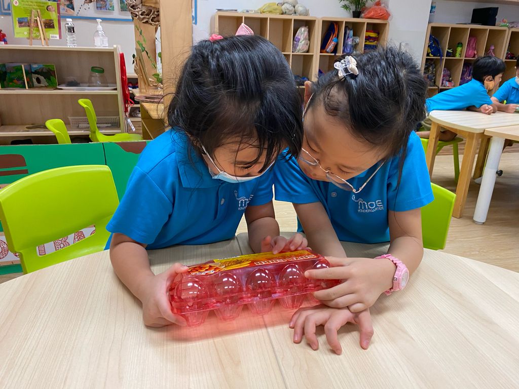 Choosing SG Locally Grown Local Fresh Produce — photo 6