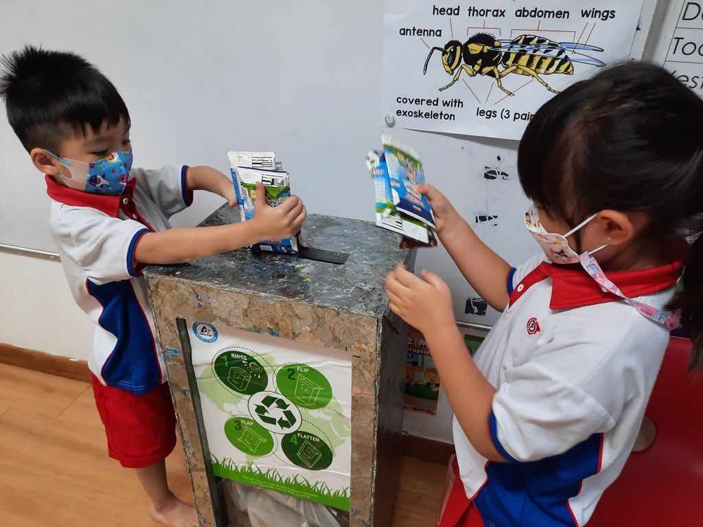 Collection of Tetra Pak Cartons — photo 3