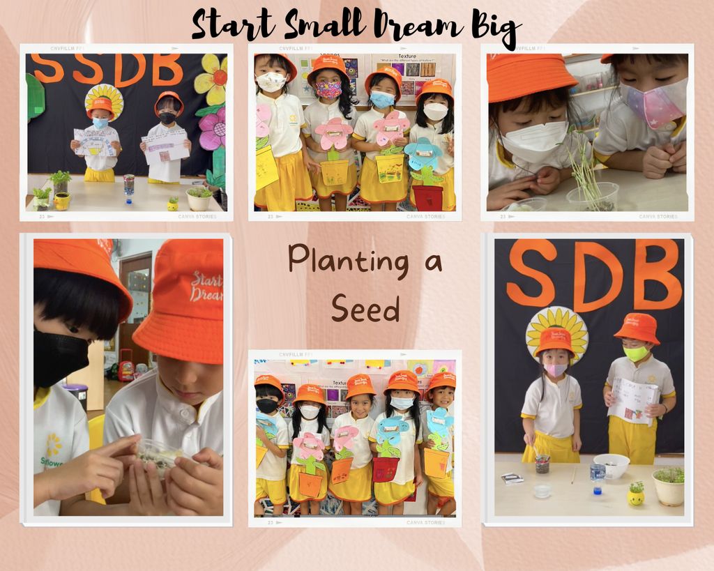 Sunflower Preschool @ Frankel SSDB collaboration with Econ Medicare Centre (Chai Chee) — photo 1