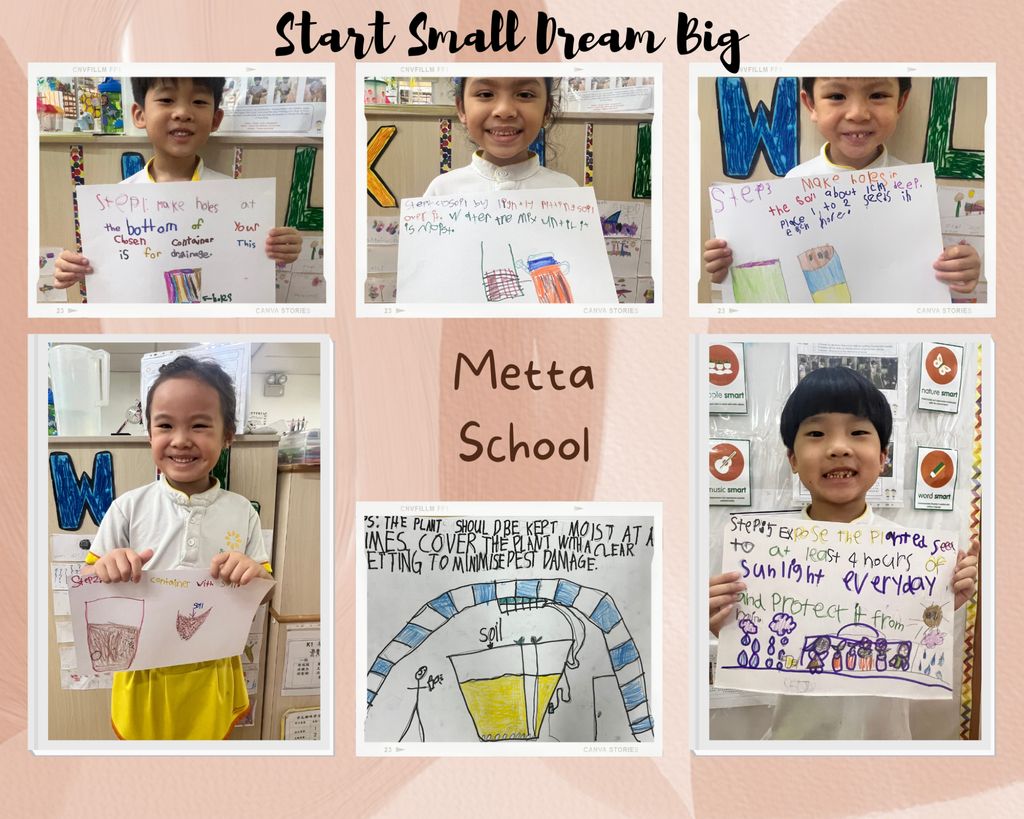 Sunflower Preschool @ Frankel SSDB collaboration with Metta School — photo 1