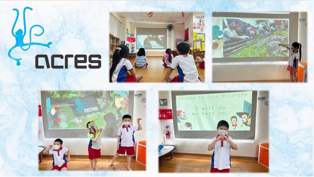SSDB Project: Animal Concerns Research and Education Society (ACRES)