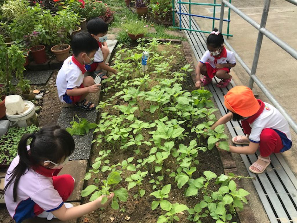 SSDB 2022: Giving & Sharing starts with us! — photo 8
