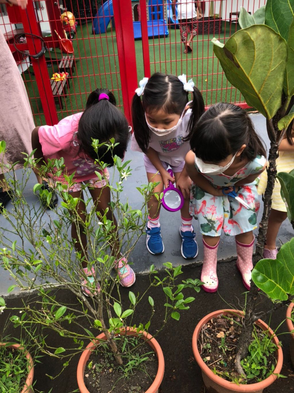 Discovery of Caterpillars (April)