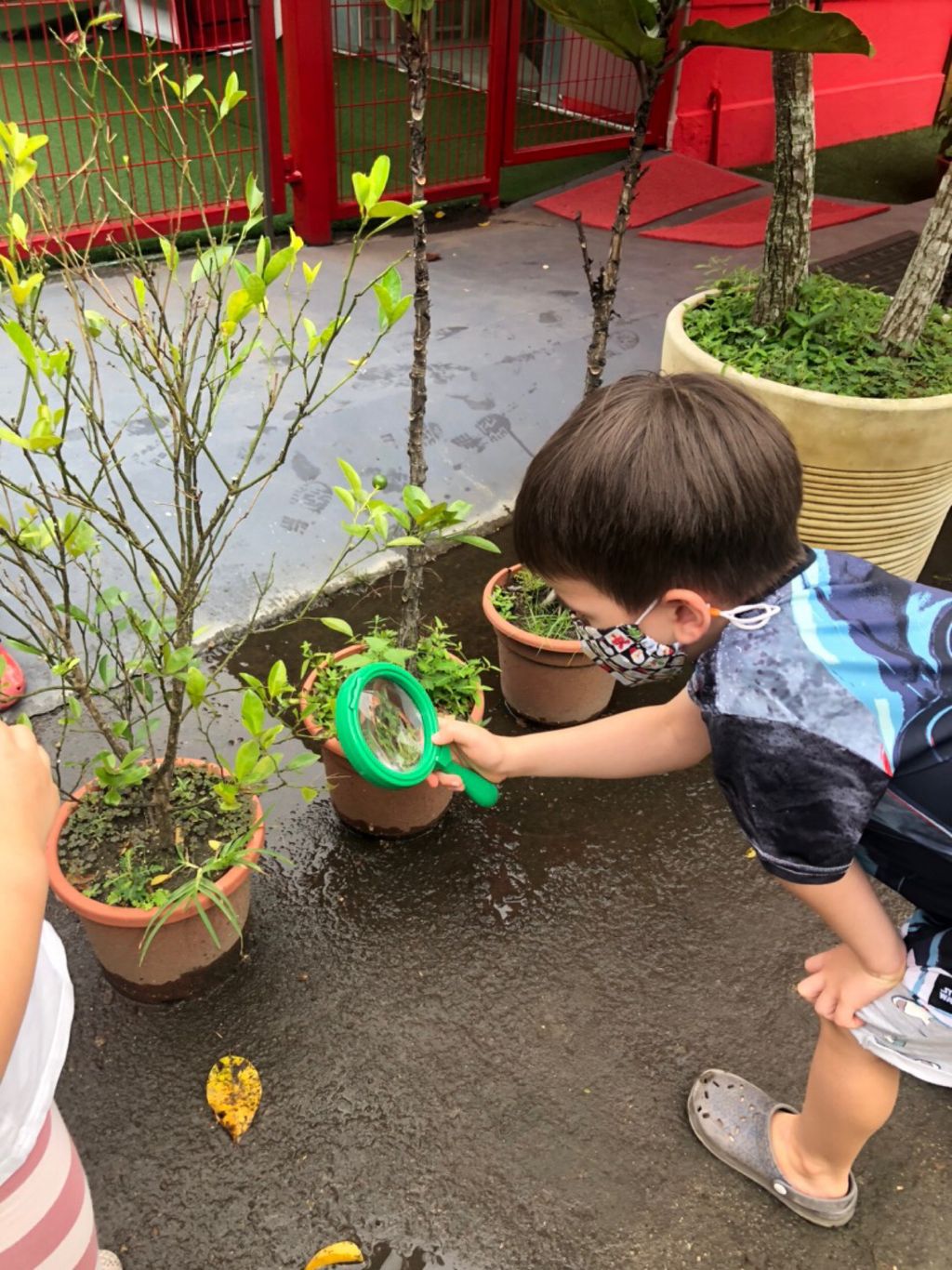 Discovery of Caterpillars (April) — photo 2