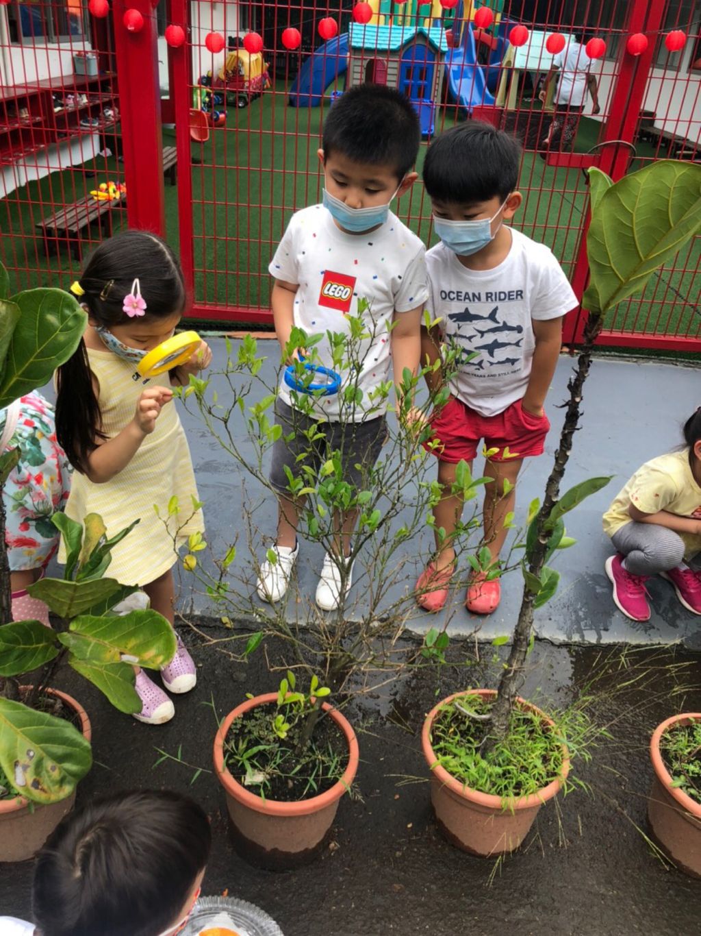 Discovery of Caterpillars (April) — photo 3