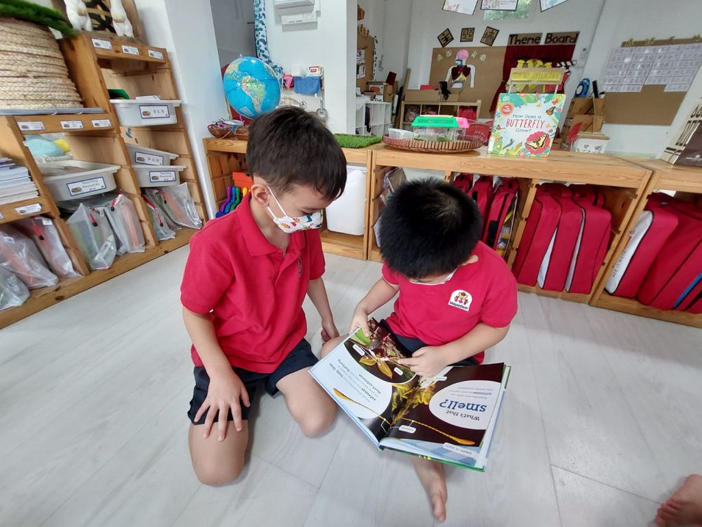 Butterfly Ambassadors