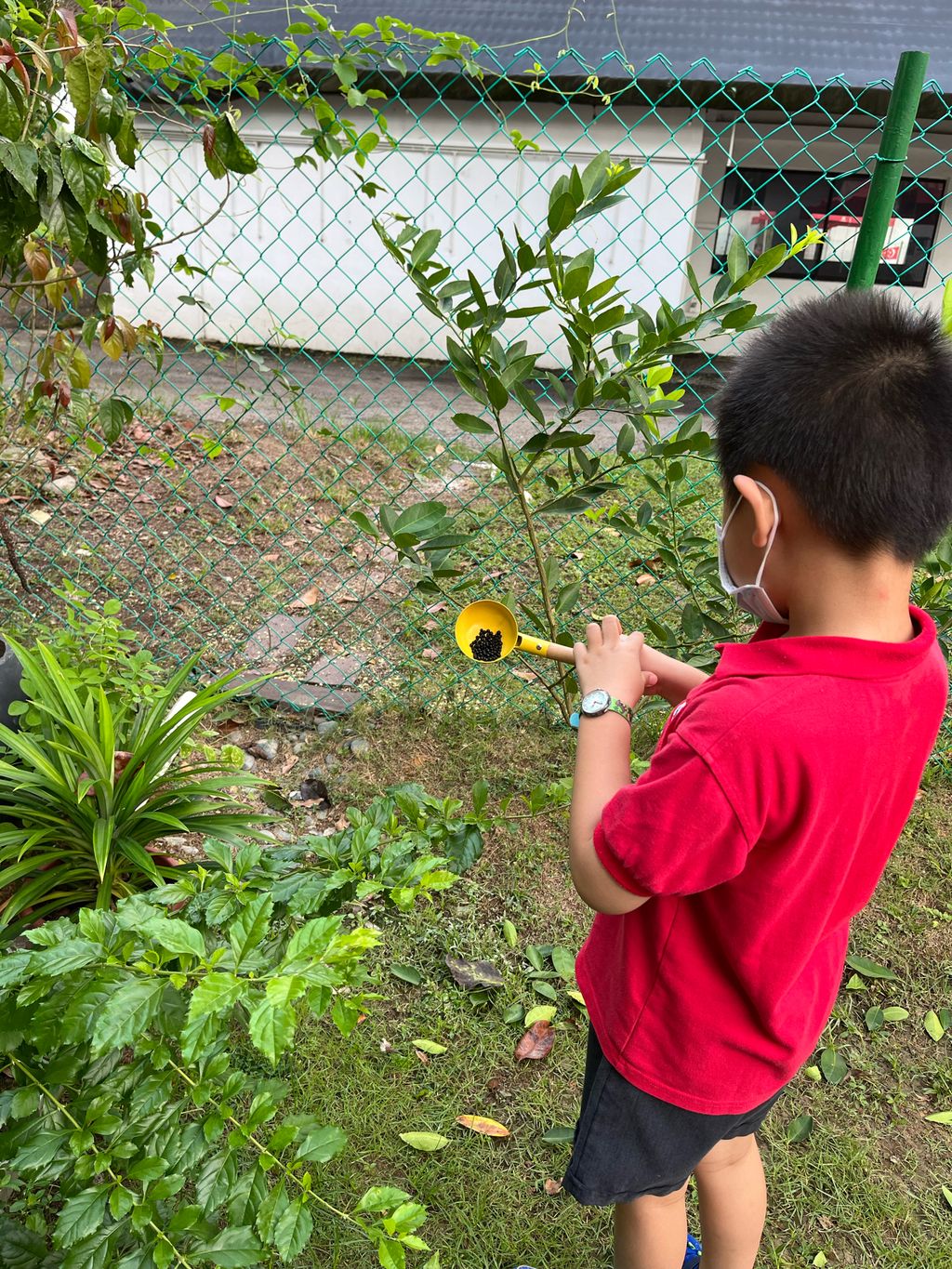 Butterfly Ambassadors — photo 3