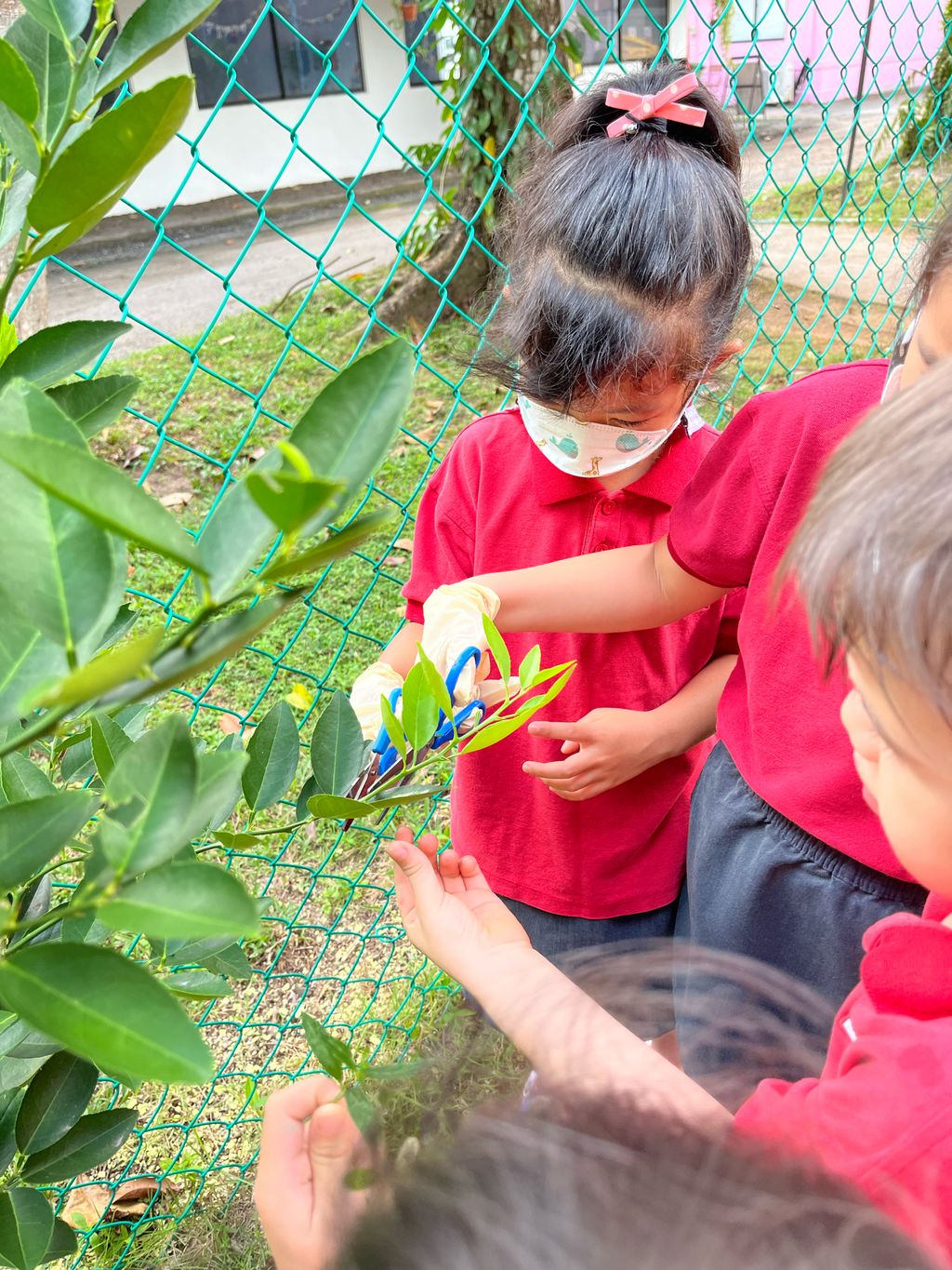 Butterfly Ambassadors — photo 5