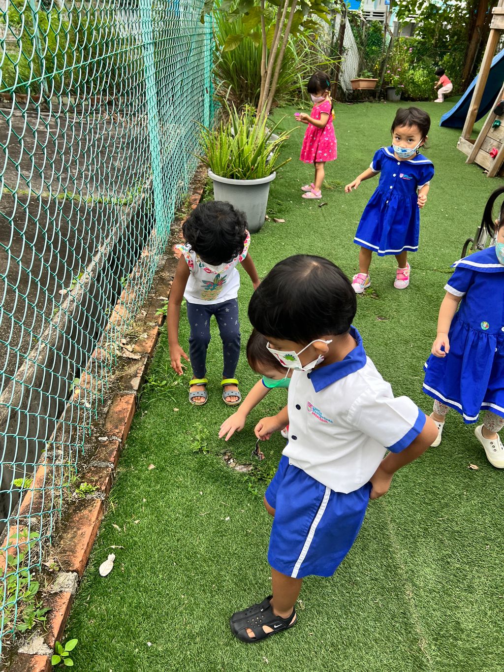 Save the earth by saving the environment — photo 3