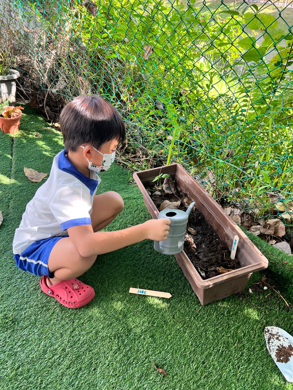 Looking after our plants to help the environment