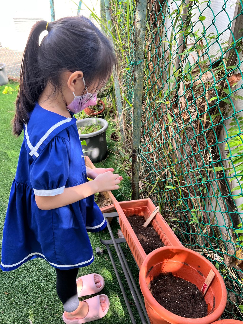 Looking after our plants to help the environment — photo 2