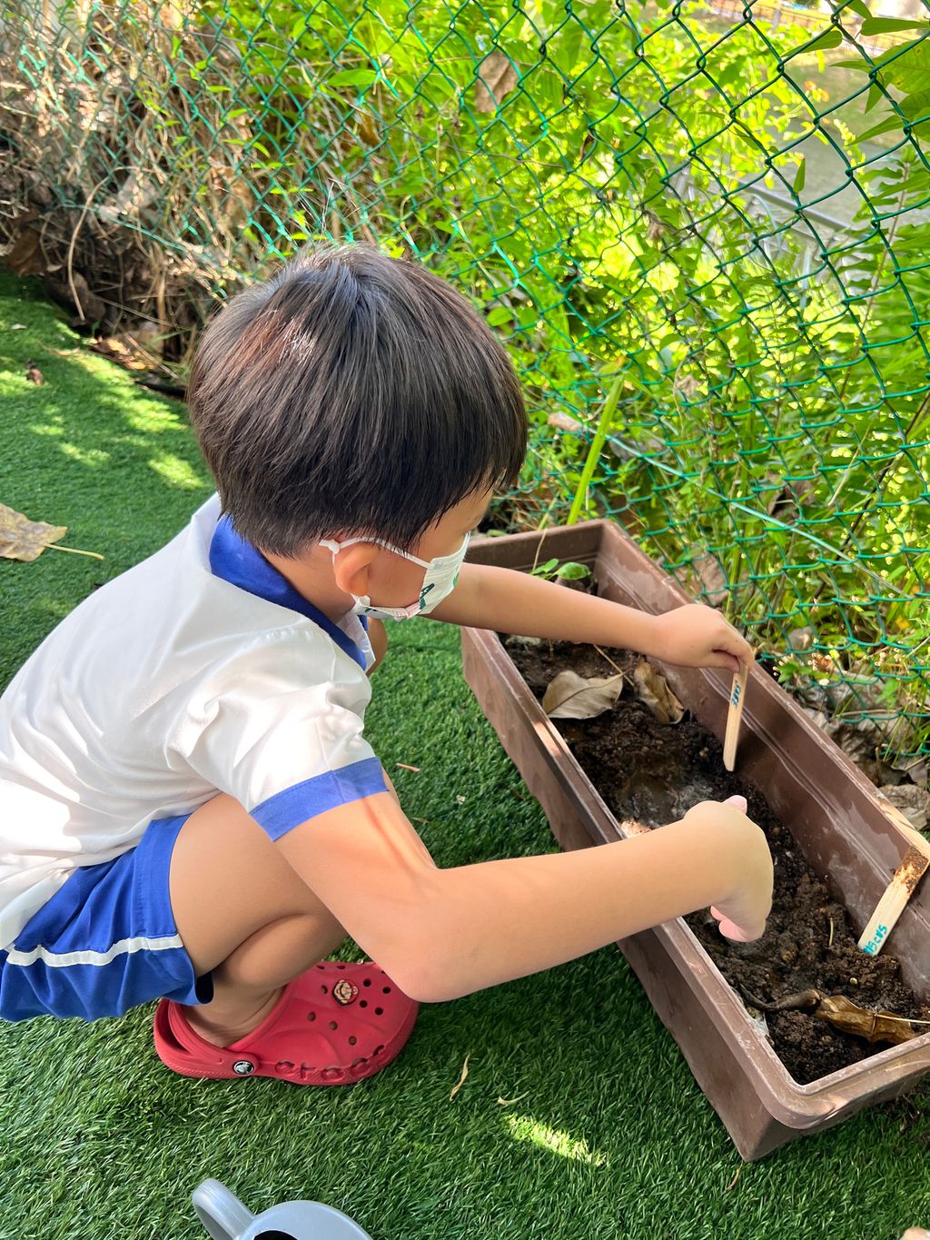 Looking after our plants to help the environment — photo 3