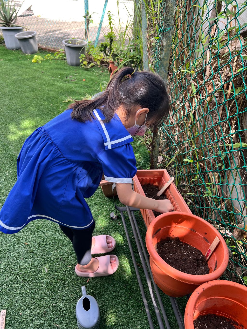 Looking after our plants to help the environment — photo 4