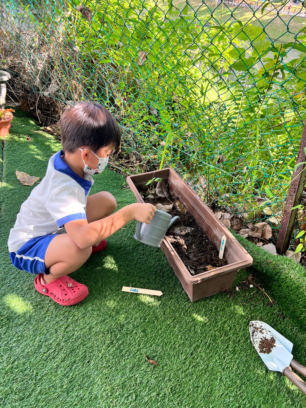Looking after our plants to help the environment — photo 5