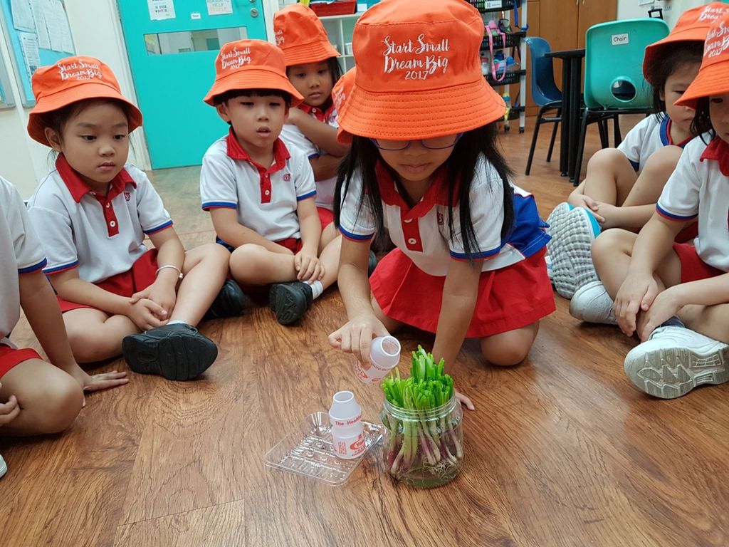 Story 2: Appreciation is an act of Kindness! — photo 2