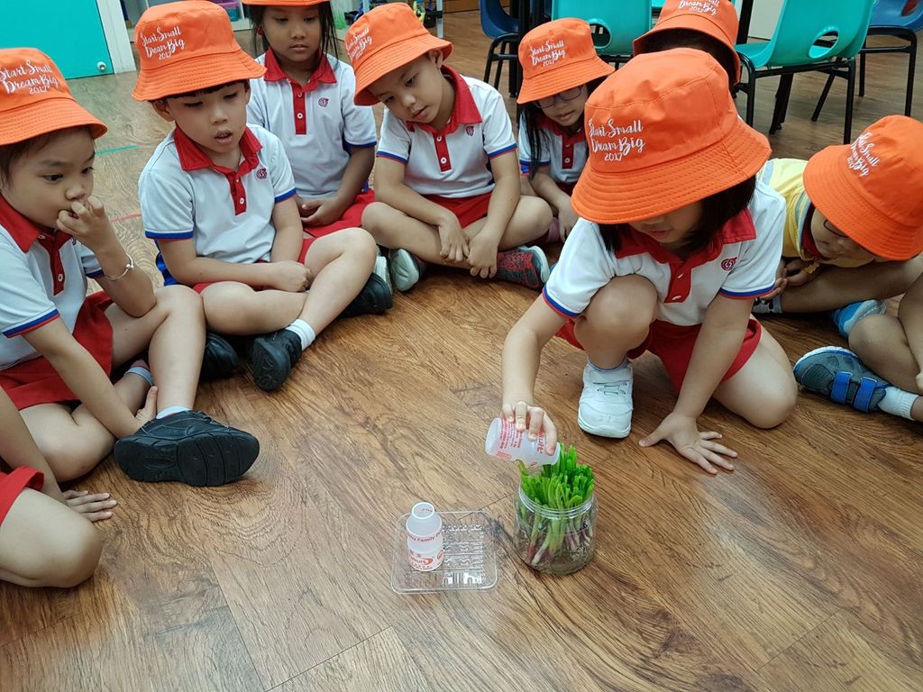 Story 2: Appreciation is an act of Kindness! — photo 4