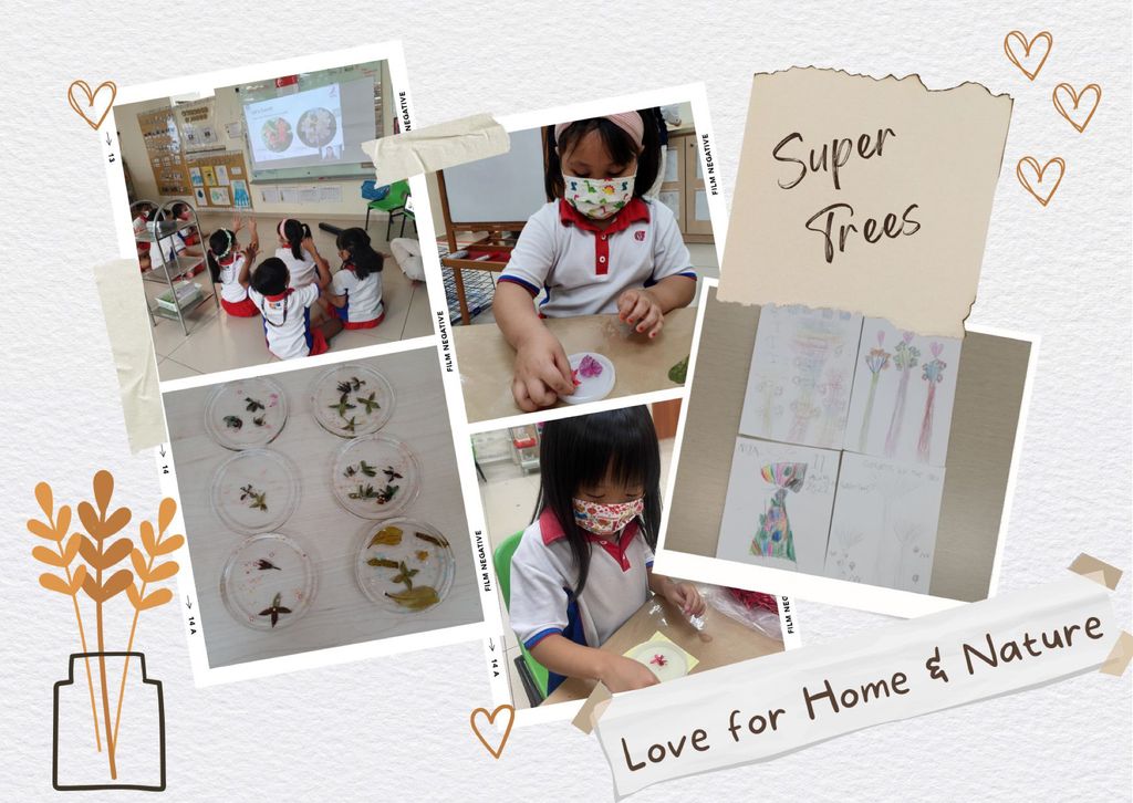 Love for Home & Nature - Collaboration with Gardens by the Bay