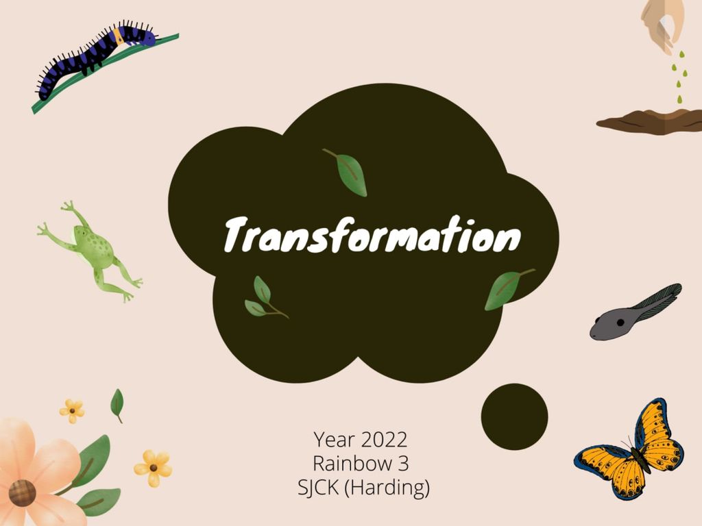Beginnings of our “Transformation” Project