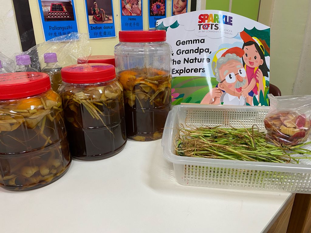 Eco Enzyme Fertilizer — photo 4
