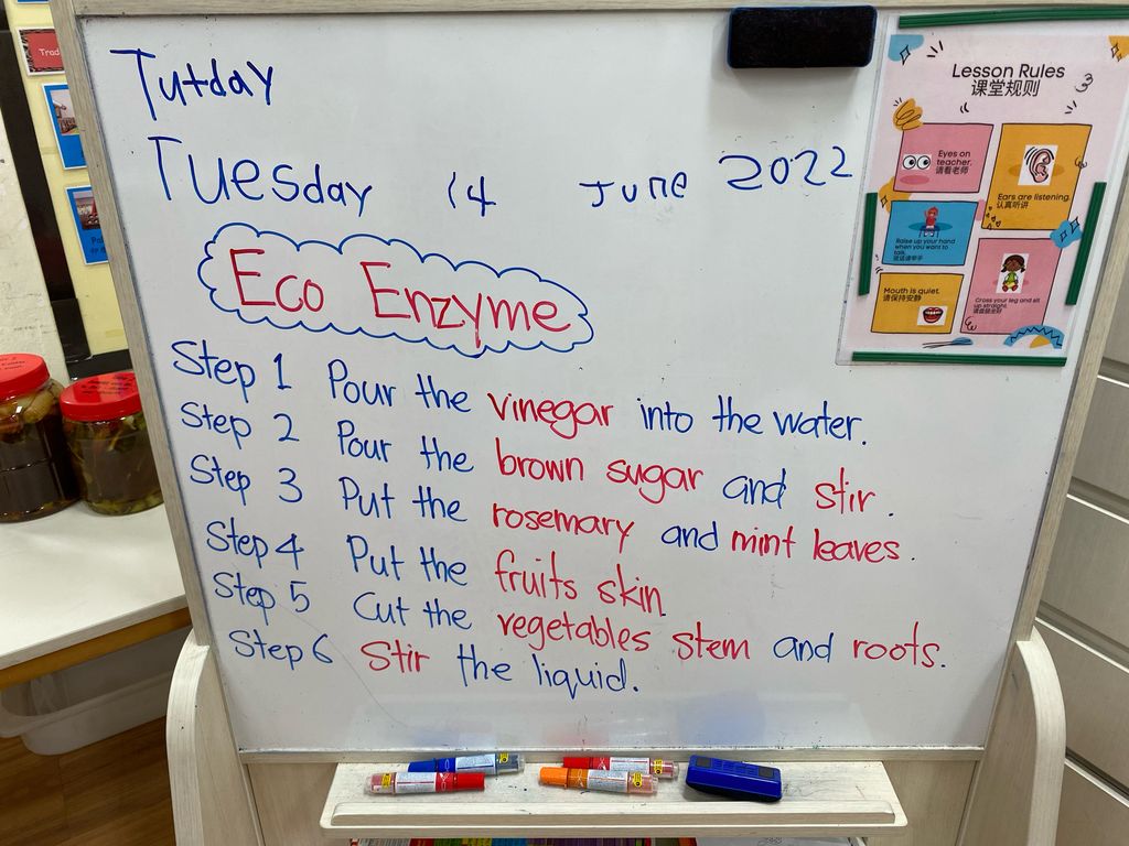 Eco Enzyme Fertilizer — photo 5