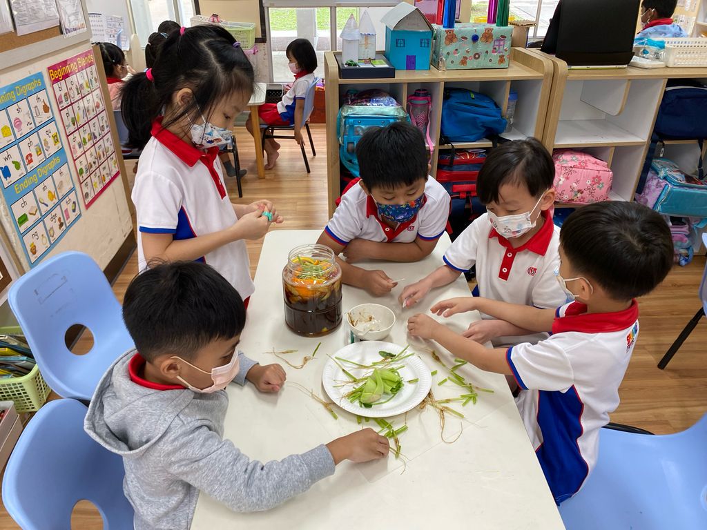 Eco Enzyme Fertilizer — photo 6