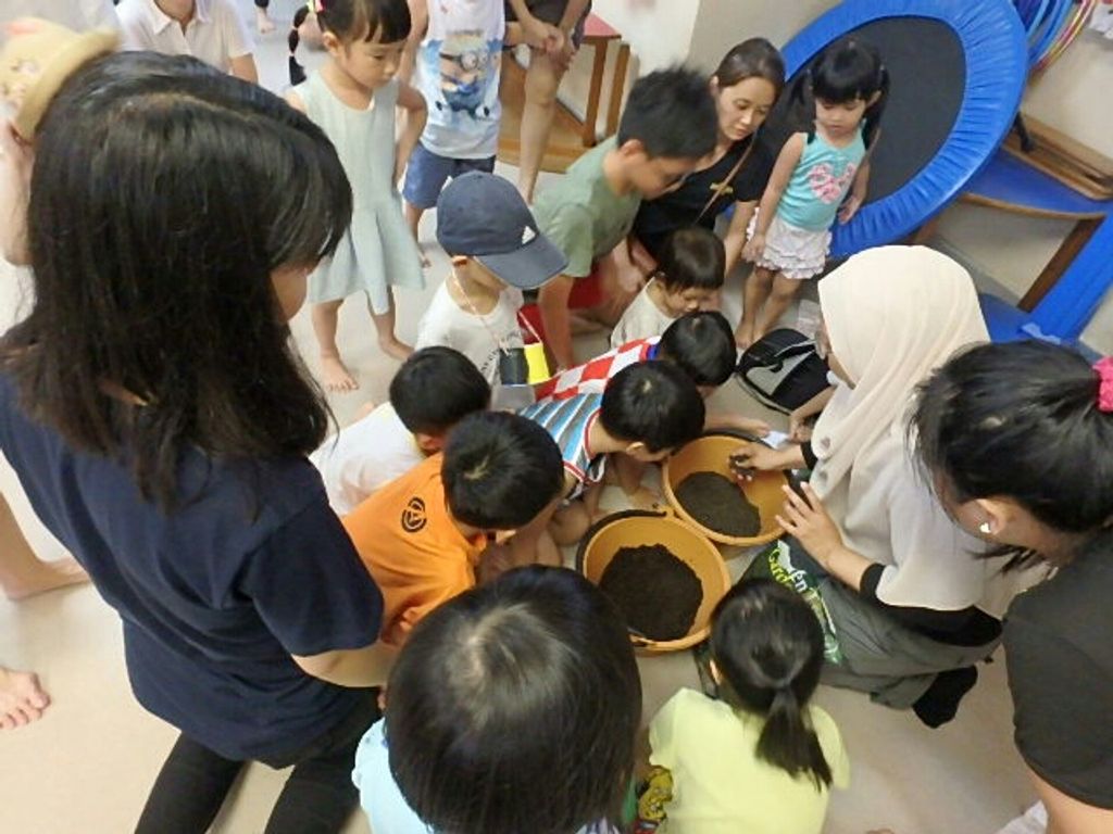 Collaboration with NParks and families — photo 2