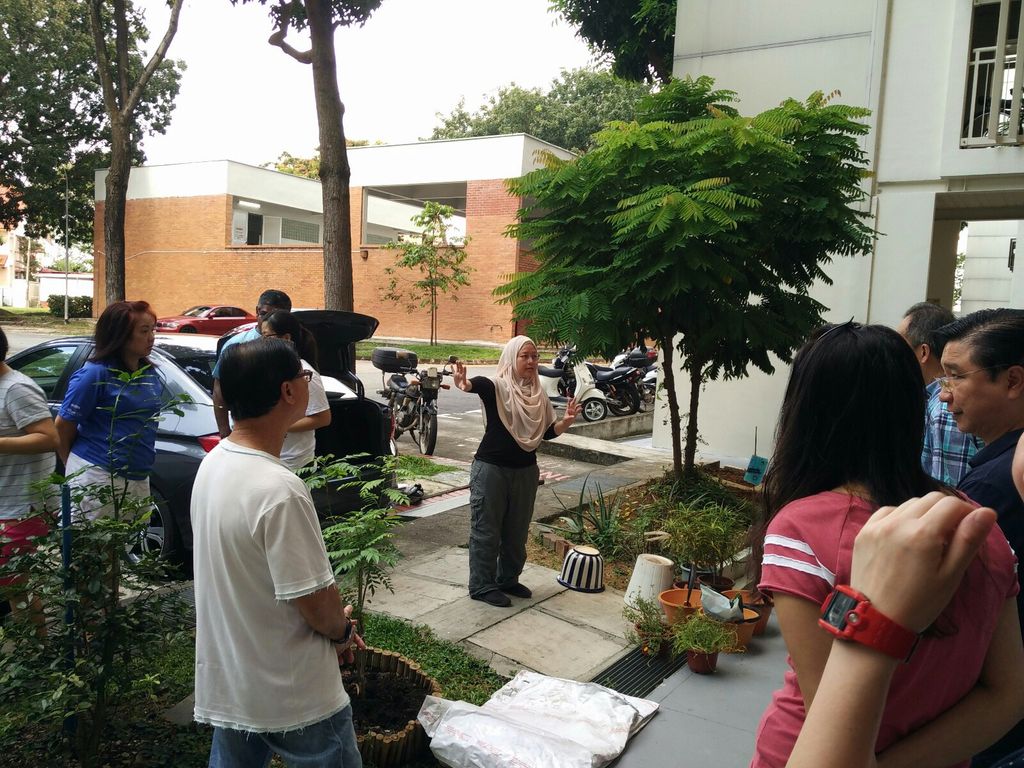 Collaboration with NParks and families — photo 6