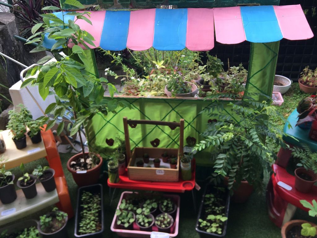 PMK 2022 SSDB Learning Story #8 - It's Farmers Market Day! — photo 6