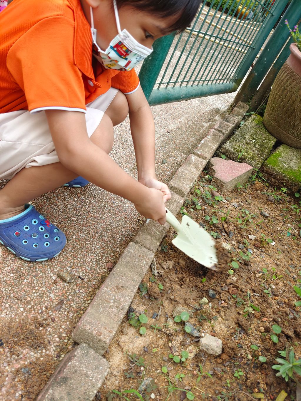 Gardening Tools — photo 4