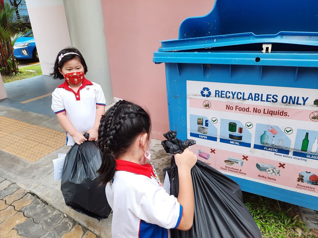 Recycling of Tetra Pak Cartons — photo 4