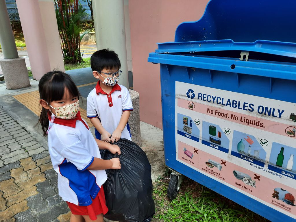 Recycling of Tetra Pak Cartons — photo 6