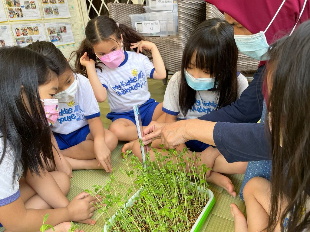 Peashoot Workshop