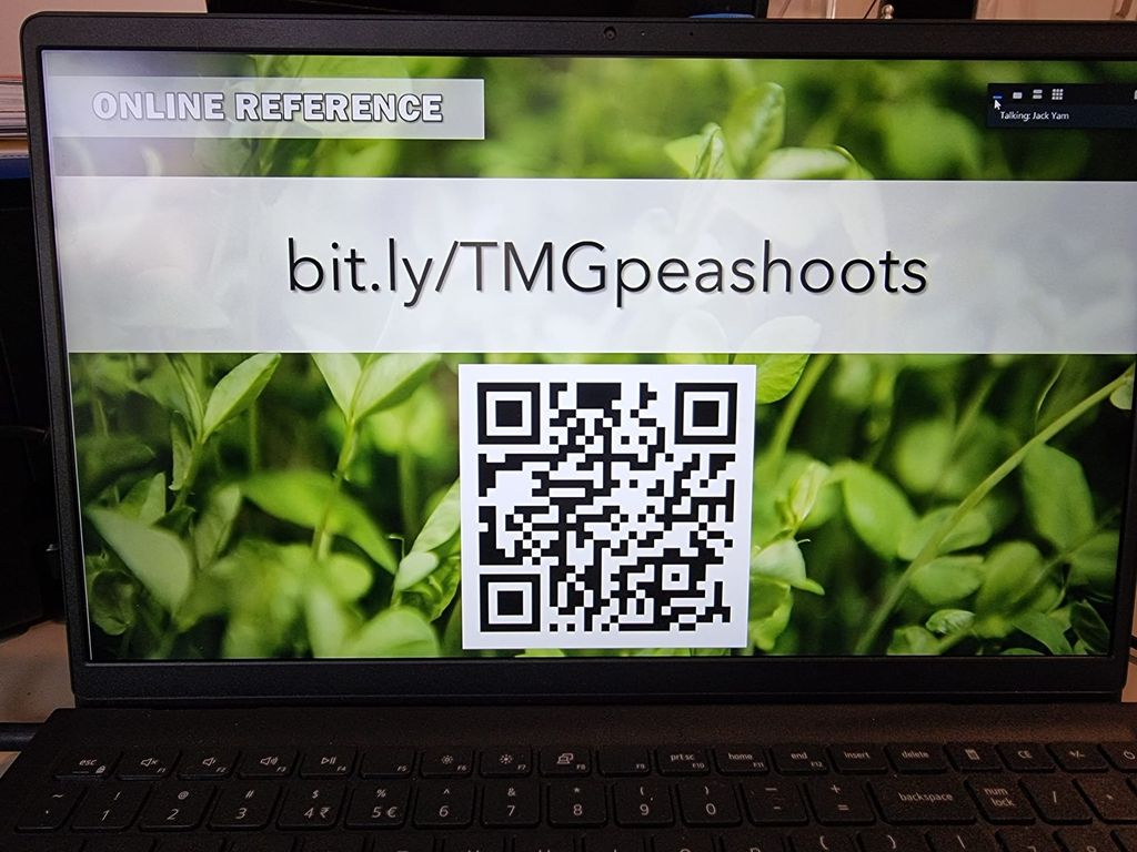 Peashoot Workshop — photo 4