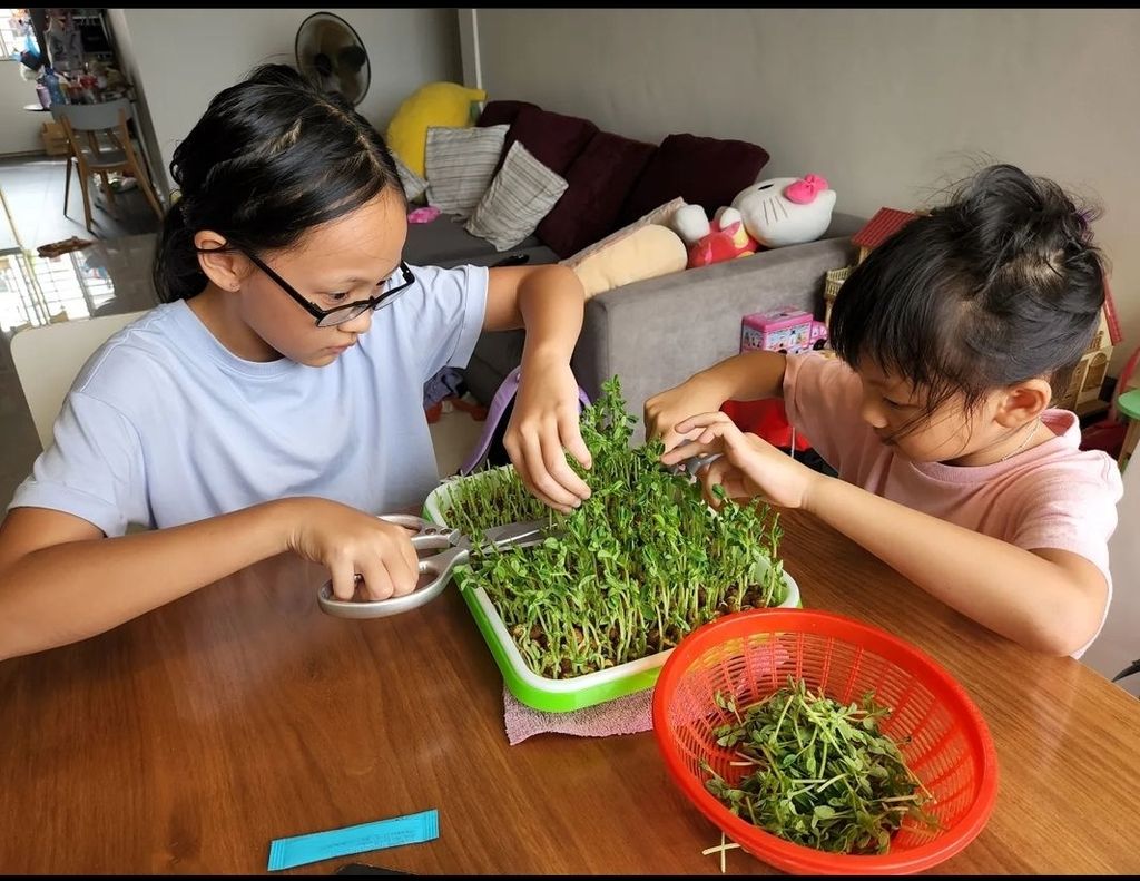 Peashoot Workshop — photo 1