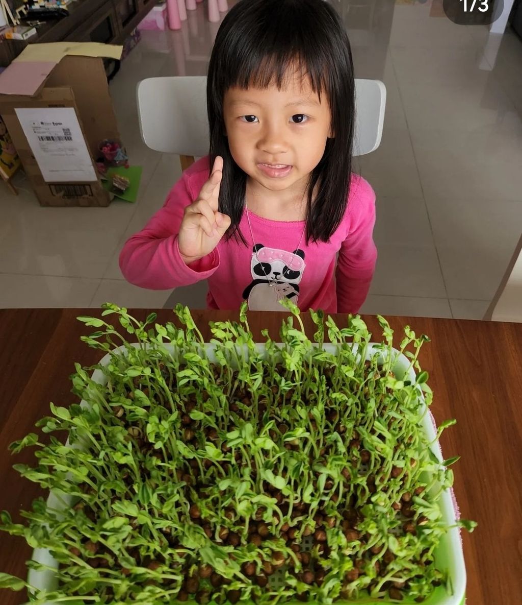 Peashoot Workshop — photo 2