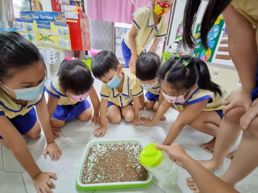 Peashoot Workshop — photo 2