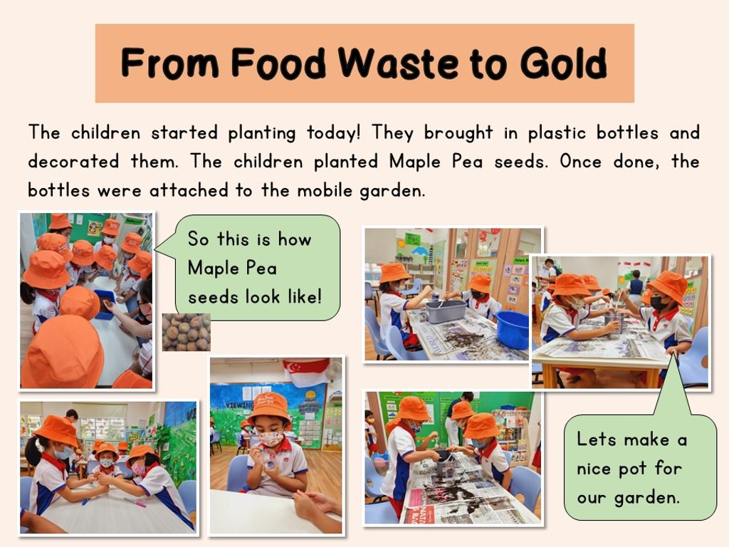 From Food Waste to Gold