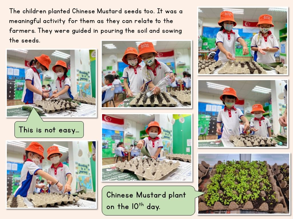 From Food Waste to Gold — photo 2