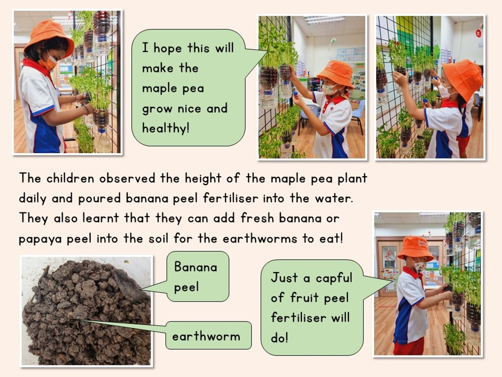 From Food Waste to Gold — photo 4